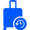 baggage loss delay_2